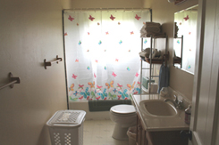 Hall bathroom